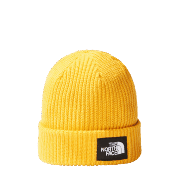 THE NORTH FACE - SALTY LINED BEANIE