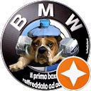 erasmo bovina profile picture